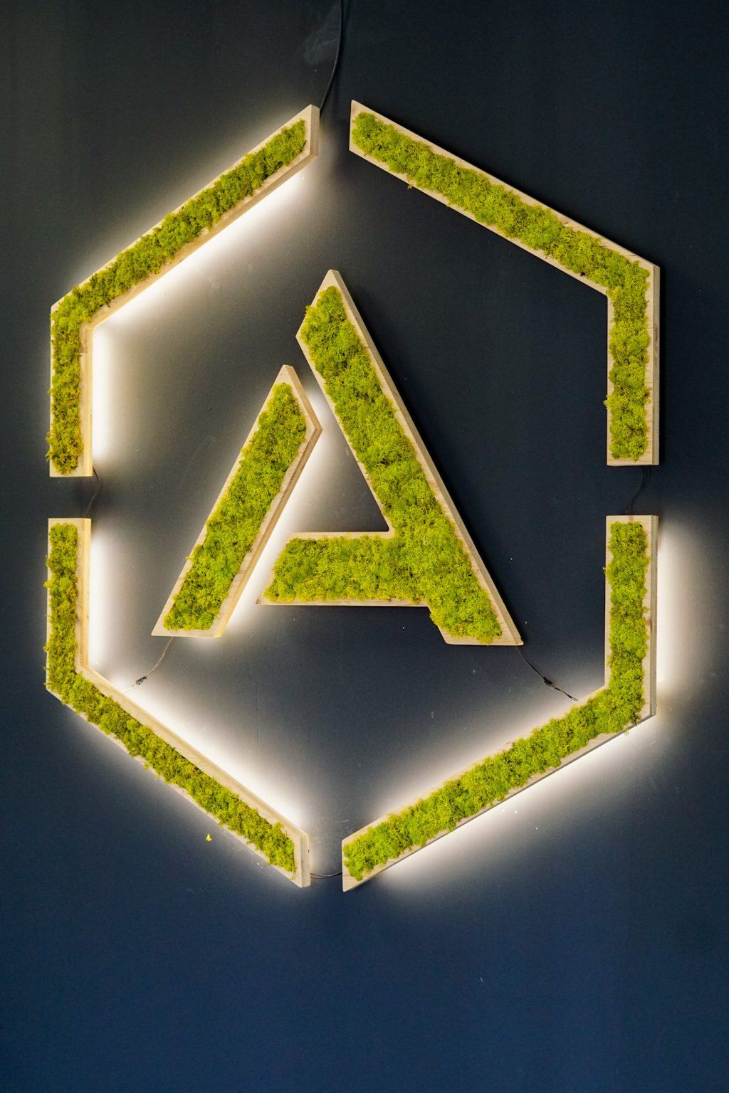 Le logo de L’Arène dans la salle de Gradignan